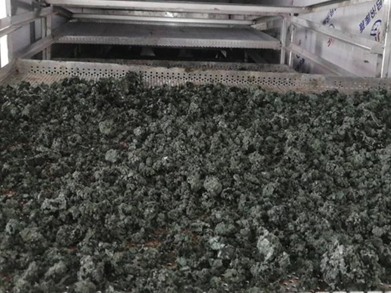 永久已满18从此进入