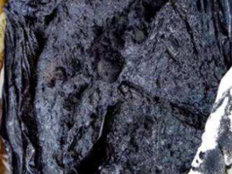 永久已满18从此进入